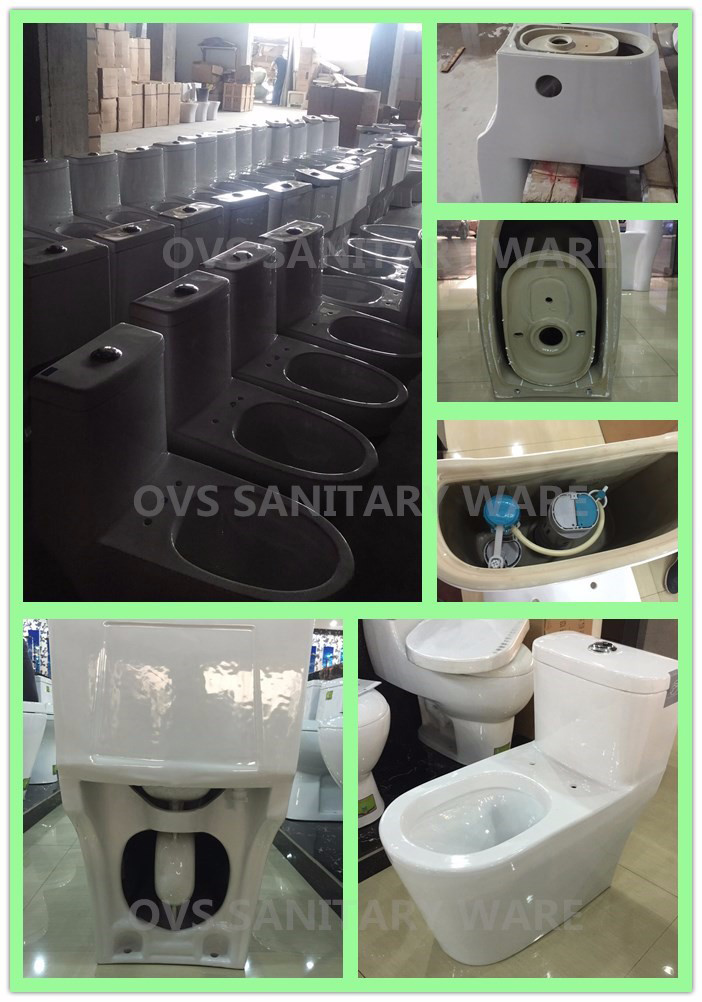 Bathroom Sanitary Ware Toilet Australian Closet