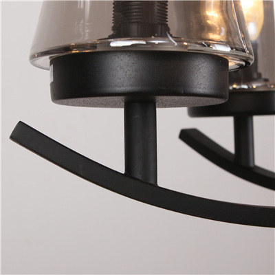 Hot Chandelier Pendant Lamp with Glass Shade (SL2246-6)