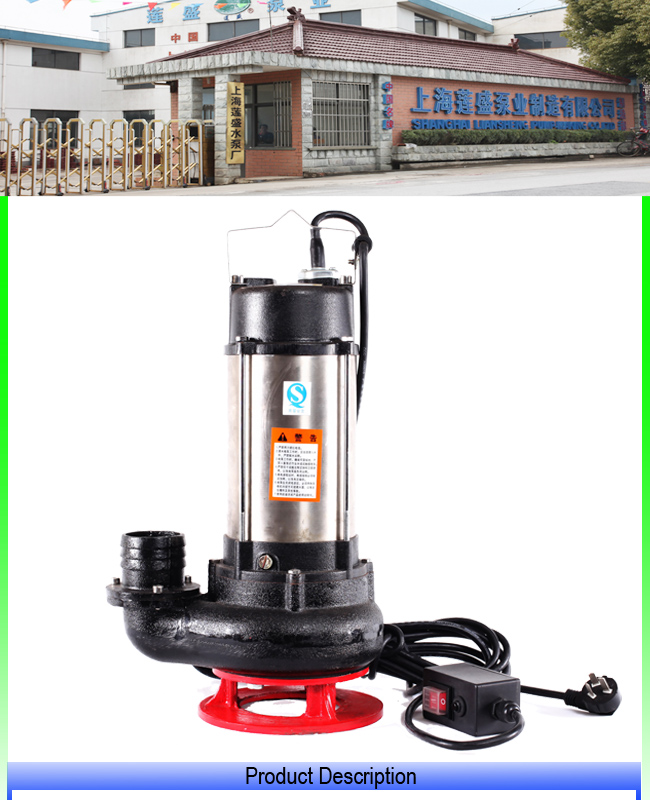 Wq Sewage Pump with Sewage Submersible Pump