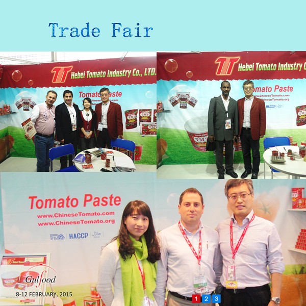 Aseptic and Organic Canned Tomato Paste From China Supplier