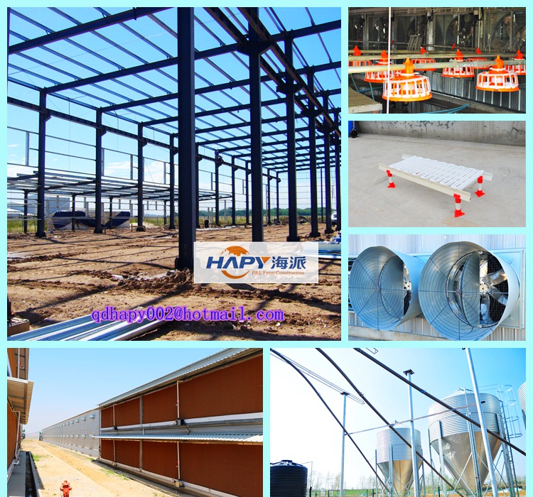 Poultry Farming House Machinery with Prefab Light Steel Installation