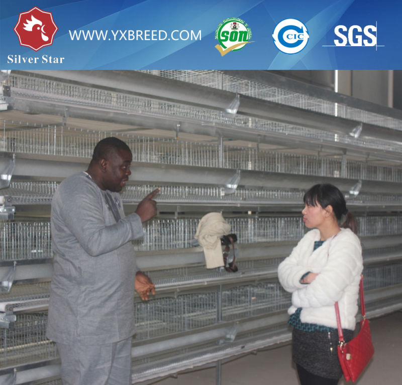 Hot Galvanized Layer Battery Cage to Kenya Big Farm