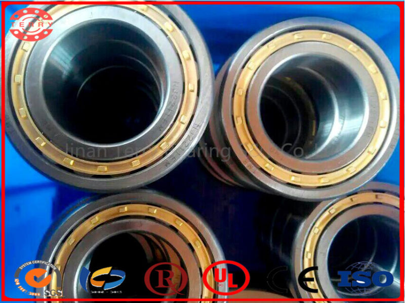 The High Speed Low Noise Cylindrical Roller Bearing (NJ248EM)