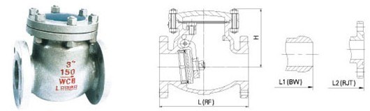 ANSI ASME API600 Cast Steel Swing Check Valve