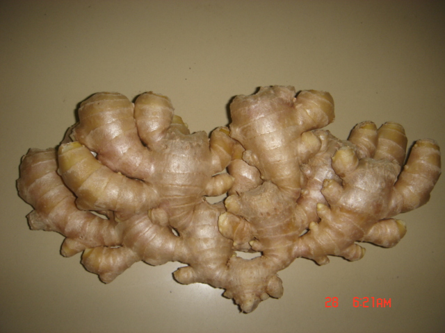 High Quality Export New Crop Air-Dried Ginger