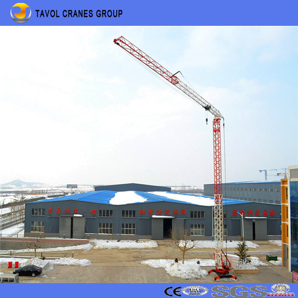 Qtk20 2ton Model Fast Erection Tower Crane with Best Quality