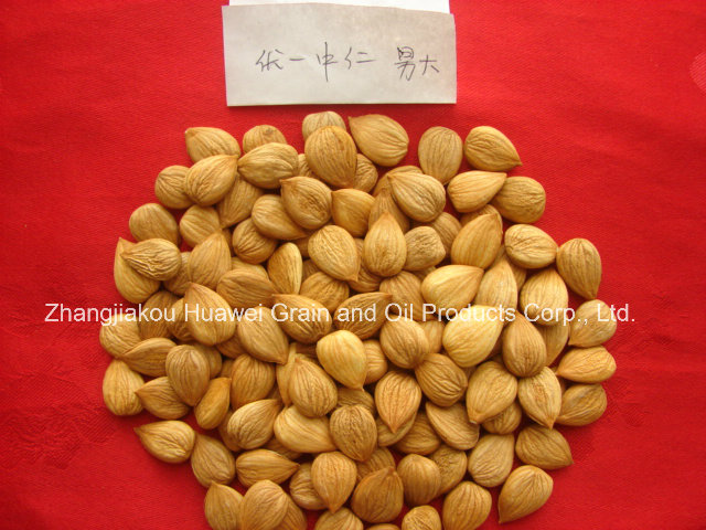 Sweet Almond (youyi 780-800 PCS/500g)