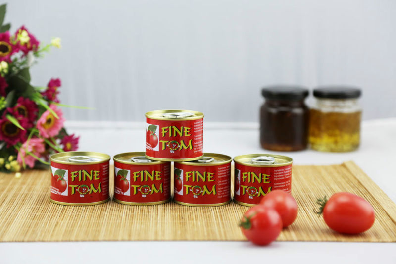 Healthy Canned Tmt Brand Tomato Paste of All Sizes From 70 G to 4.5 Kg in Bulk Price