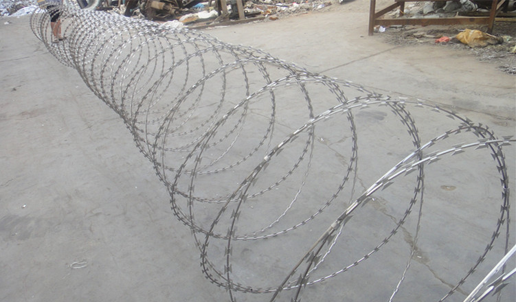 Hot Galvanized Razor Barbed Wire Fence (Bto-28)