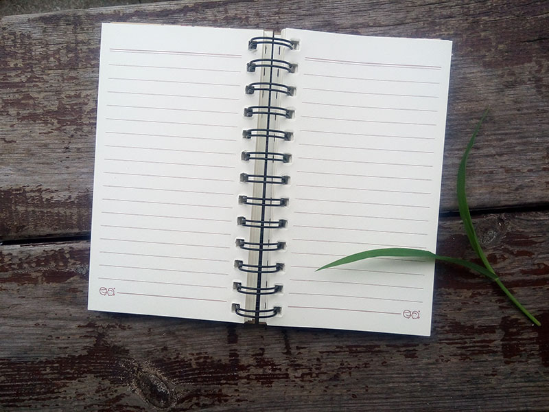 Eco Friendly Paper 48k Notebook with Spiral (NP(48K)-X-011)