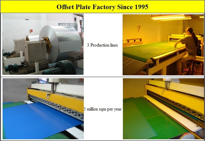 Various Sizes Plate Factory China CTP Plate