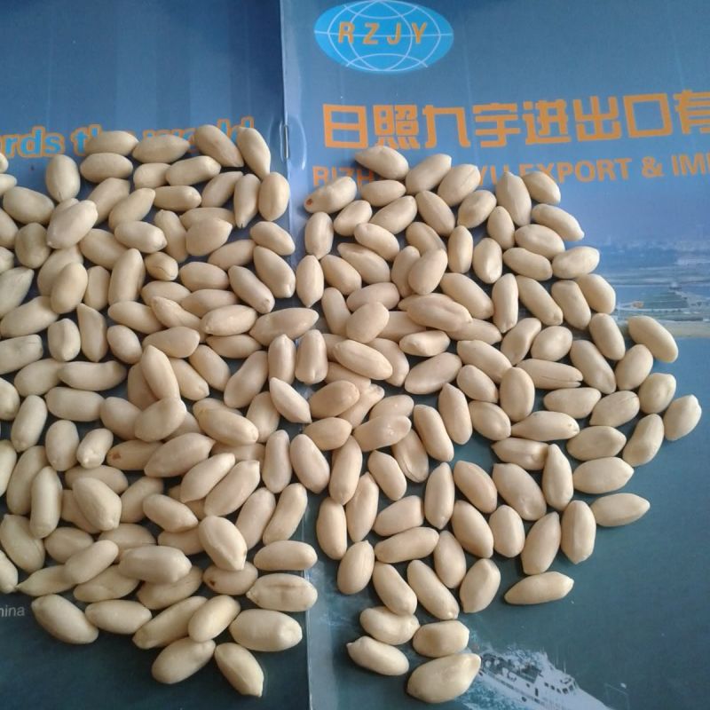 Health Food New Crop Blanched Peanut Kernel