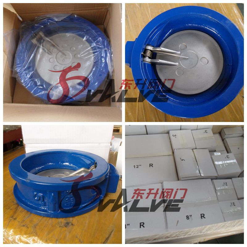 316 Single Disc Wafer Swing Check Valve Pn25