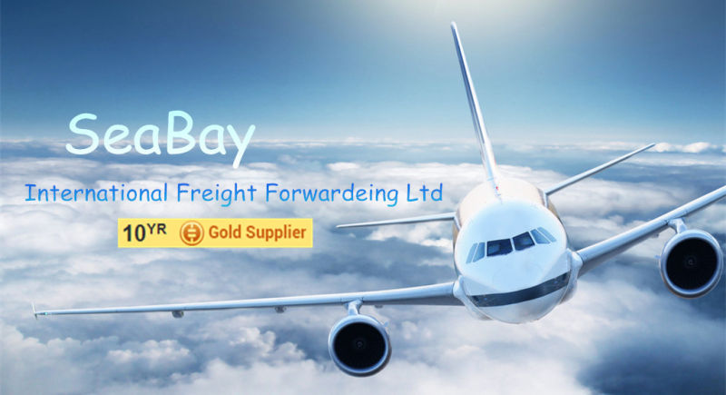 Freight Forwarder/ Logistic Service From China to UK