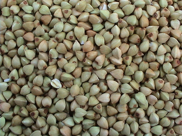 Chinese Buckwheat Kernels Yulin Origin (BW-007)