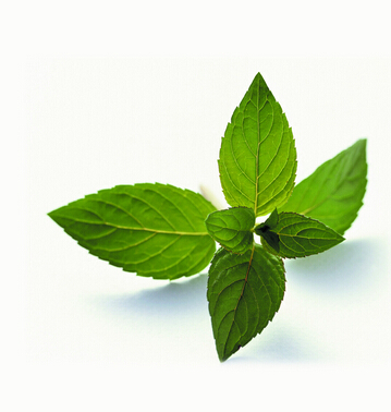 Reduce The Ultraviolet Ray Tea Polyphenol (CAS 989-51-5)