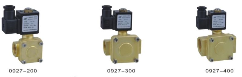 Gas/Water Solenoid Valve