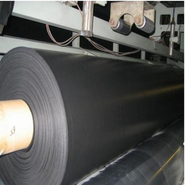 HDPE Geomembrane for Artificial Fish Pond