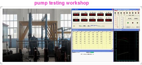 Hw Horizontal Mixed Flow Pumps