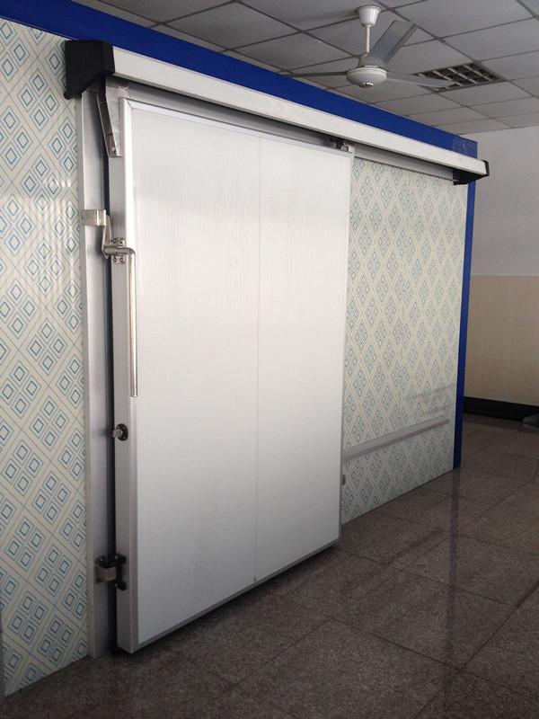 Cold Room Door/Freezer Door/Sliding Door