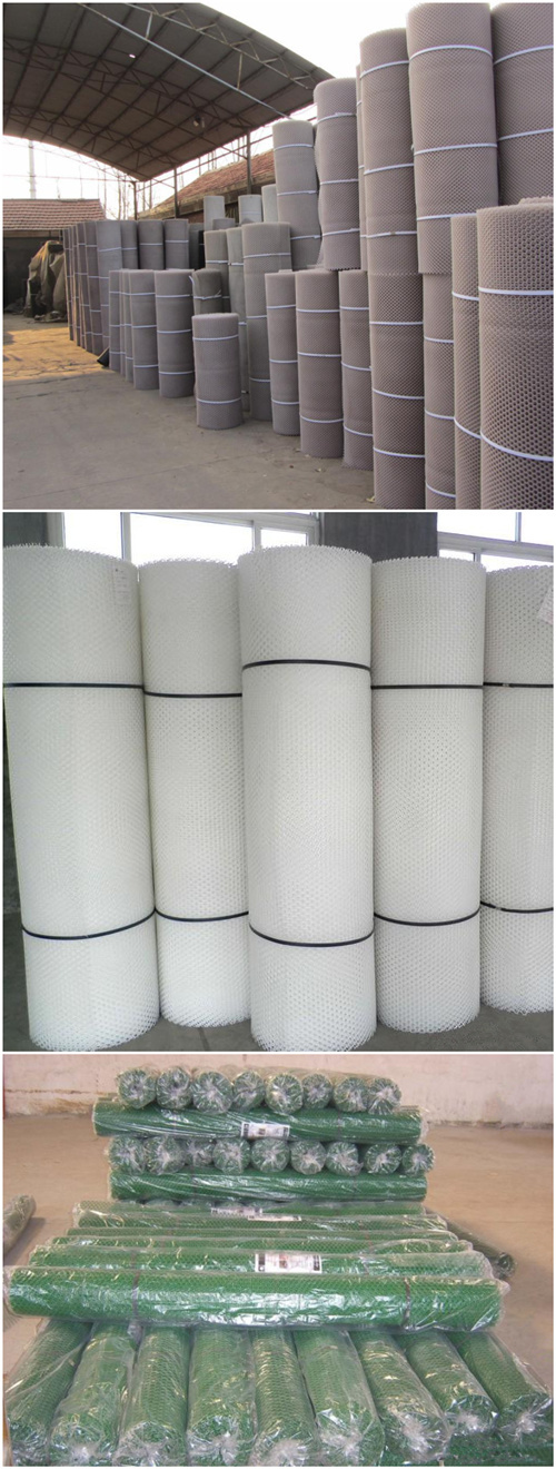 HDPE Plastic Netting China Low Cost Supplier