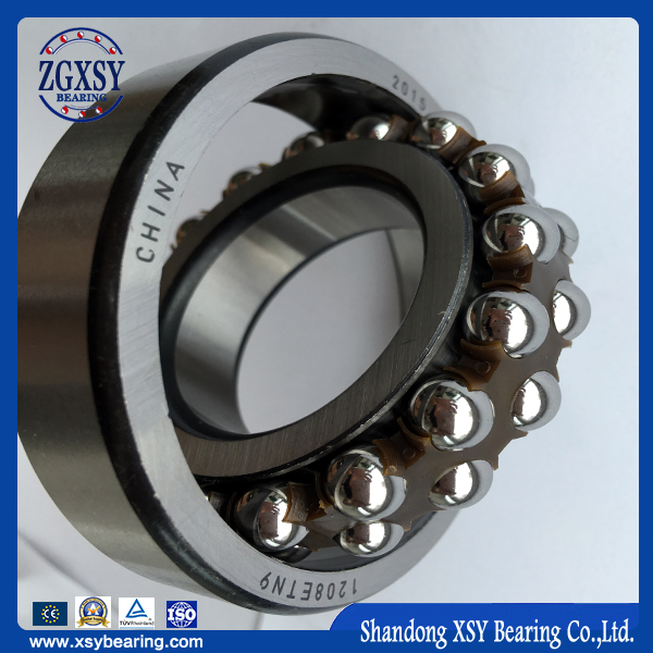 OEM ODM Self-Aligning Ball Bearing