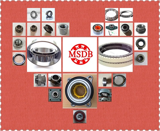 Auto Parts, Stainless Steel, Cylindrical Roller Bearing (NU217M)