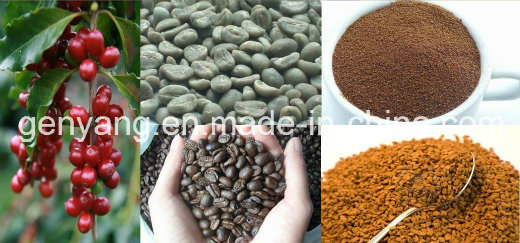 Instant Coffee Powder Processing Plant