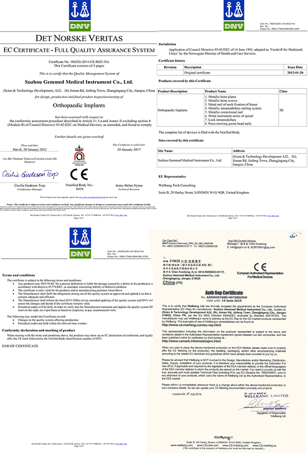 Gamma Femoral Lockable Intramedullary Nail/Intramedullary Nailing Systems/Broken Bones China