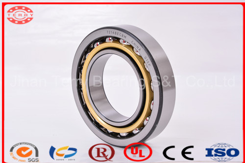 The High Speed Cylindrical Roller Bearing (NJ1015EM)