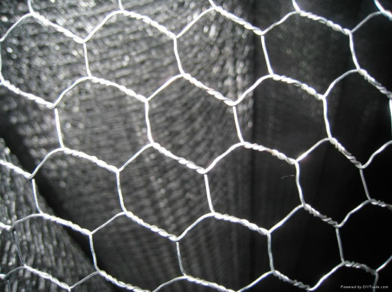 The Galvanized Iron Hexagonal Wire Mesh