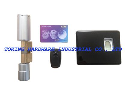 Fingerprint Card Keypassword Smart Inteligent Cylinder (C200-100)