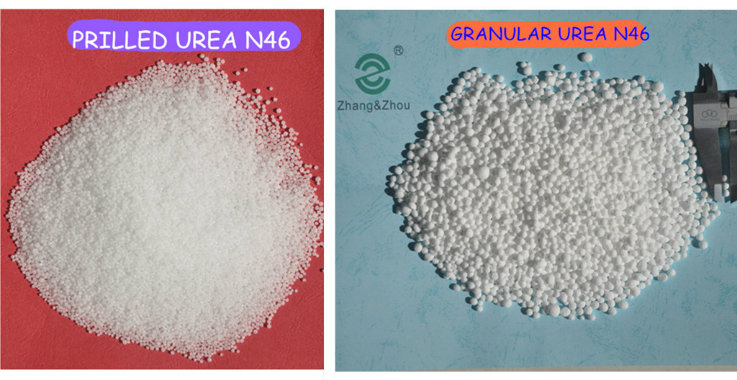 Urea Fertilizer with SGS Approved