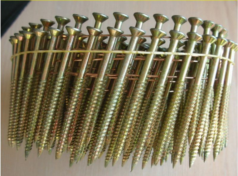 Pneumatic Torx Head Wire Collated Screw for Furnituring, Industries