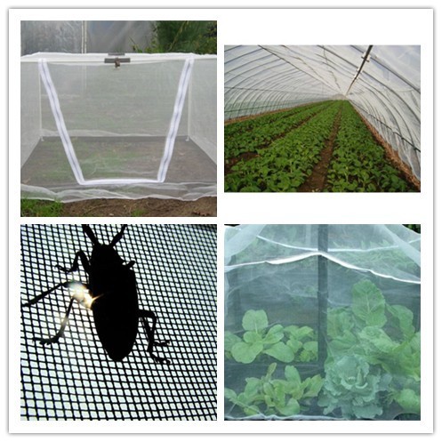 Insect Proof Mesh