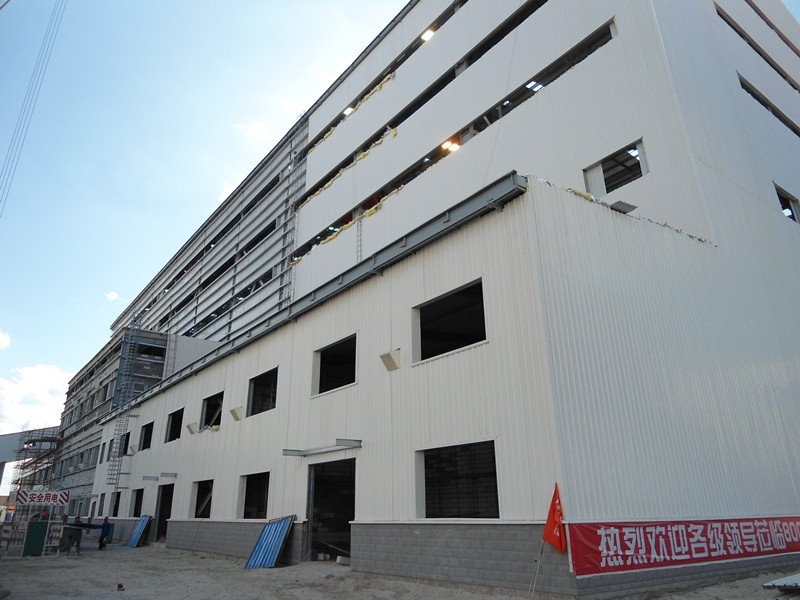 Prefabricated Light Steel Structure Building (KXD-SSB1)