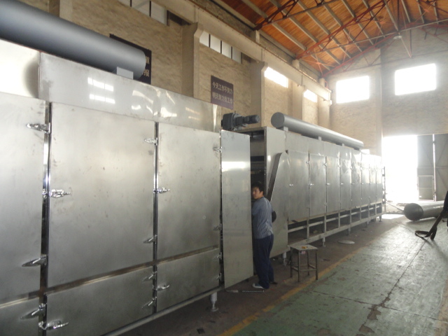 Dwt Continous Industrial Seaweed Drying Machine