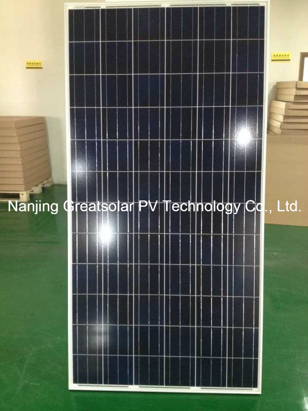 Great Competitive 300W Poly Solar Panel Factory Direct