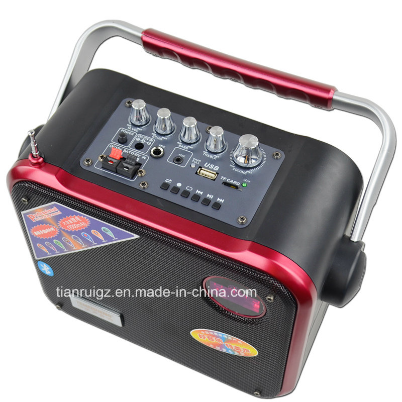 Portable Trolley Mini Speaker 6.5inch with FM Radio CE F83