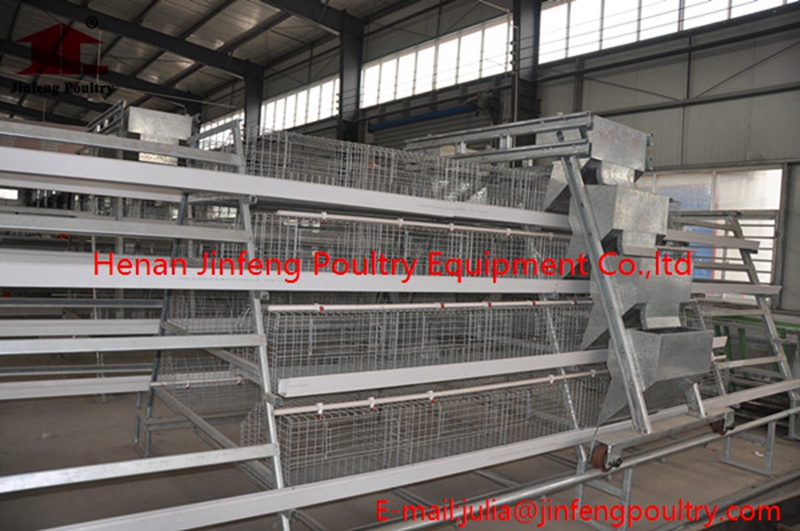 Egg Laying Cages for Poultry Farms in Africa