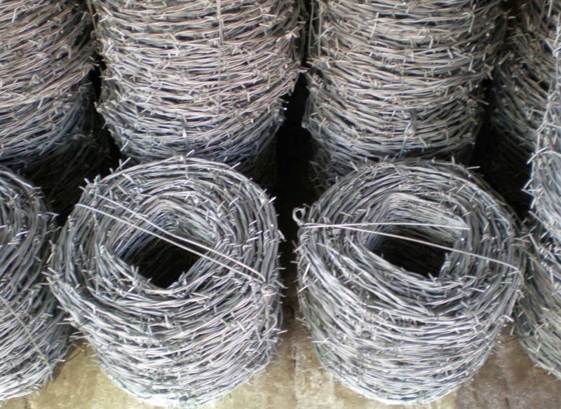 Galvanized Two Strand Barbed Wire