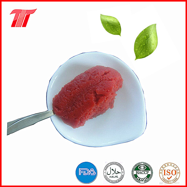 800g Veve Brand Organic Canned Tomato Paste