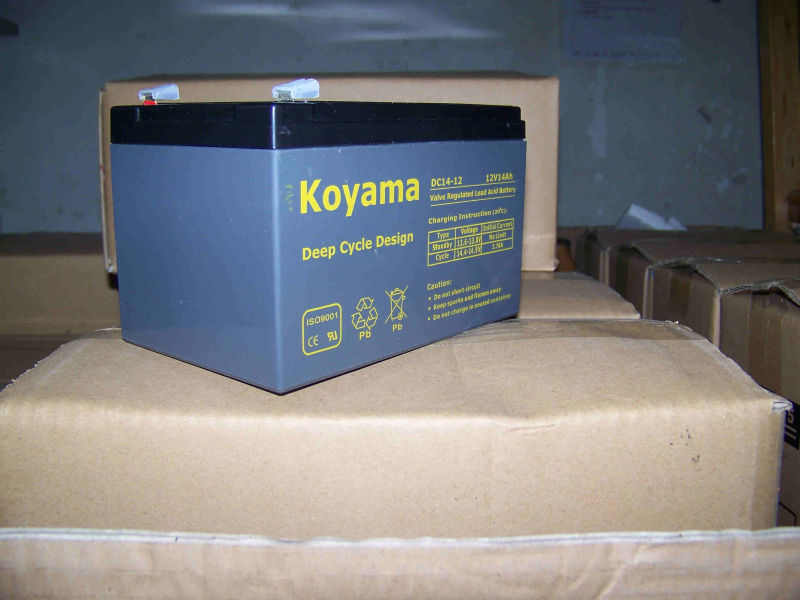 12V14ah Deep Cycle AGM Battery for Utility Vehicle