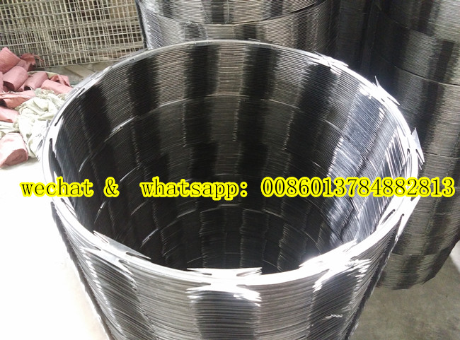 Hot-Dipped Galvanized Concetina Razor Wire Cbt 65