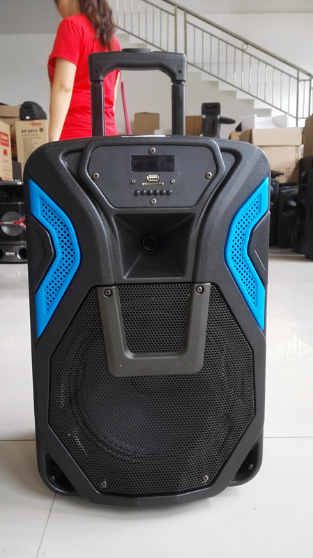 12 Inch Big Power Trolley Speaker with The Microphone and Bluetooth SL12-03