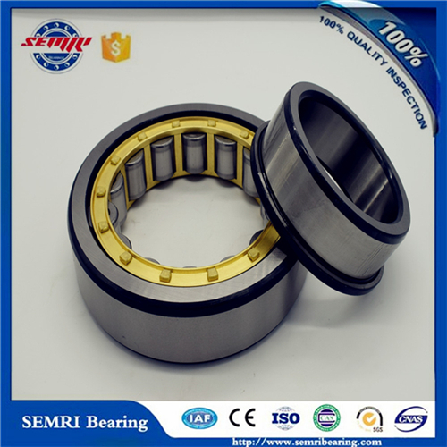 Nj2326m Roller Bearings C3 SKF Brand Cylindrical Roller Bearing