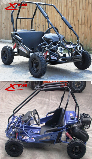 Mini Moto Kids 49cc Dune Buggy Two Seat Go Kart