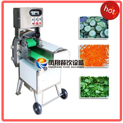 Multi-Function Cutter and Bubble Washer of Fruit Vegetable Processing Line for Factory