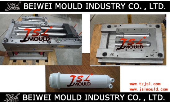 Profeesional Injection Plastic Water Filter Mould