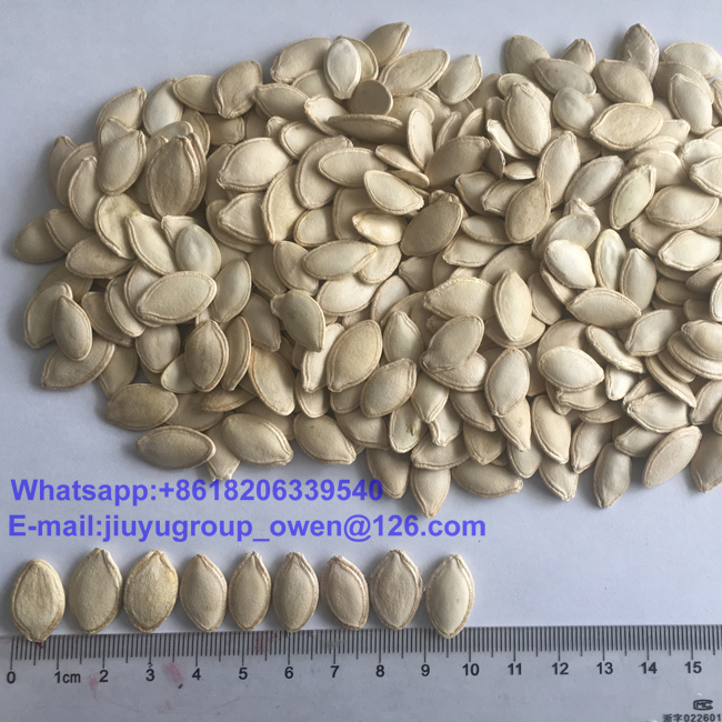 HPS Edible Shine Skin Pumpkin Seeds